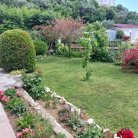 Ruzica - New Renovated Apartament Palit